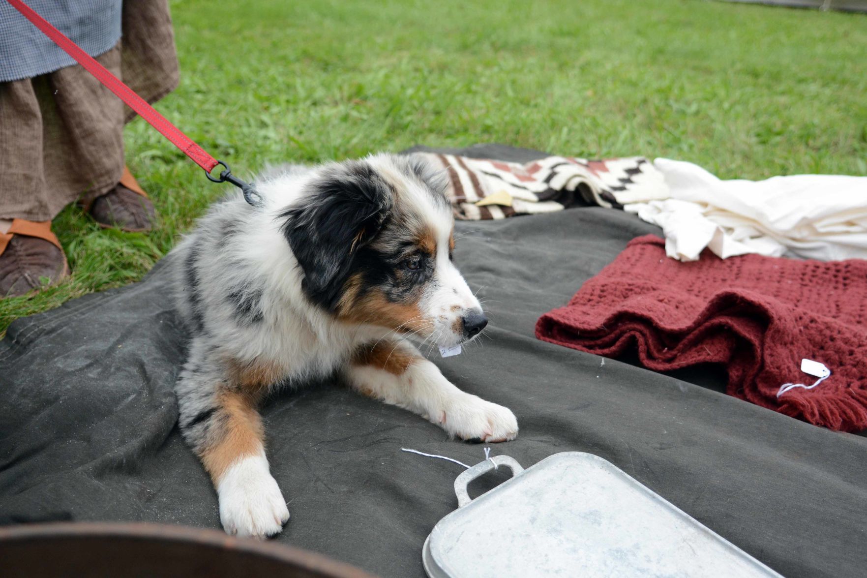 Scenes from the Baraboo River Rendezvous